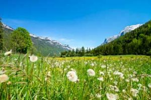 Waidring in Tirol