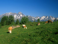 Kärnten Urlaub