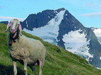Steiermark Urlaub